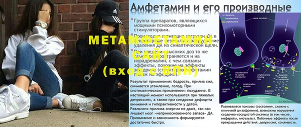 прущие грибы Ессентукская